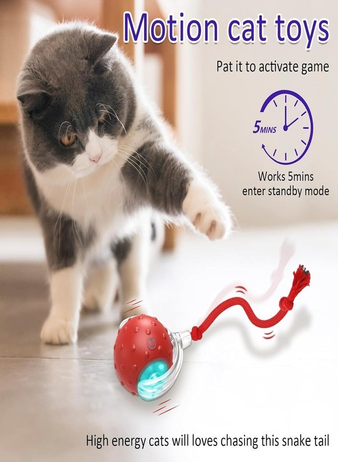 Agirav Tails Cat Toys,Agile Moving Ball with Elastic Mesh Tail,Interactive Cat Toy for Indoor Cats,Motion Activated,Ultra-Fast Kitten Toys - Image 5